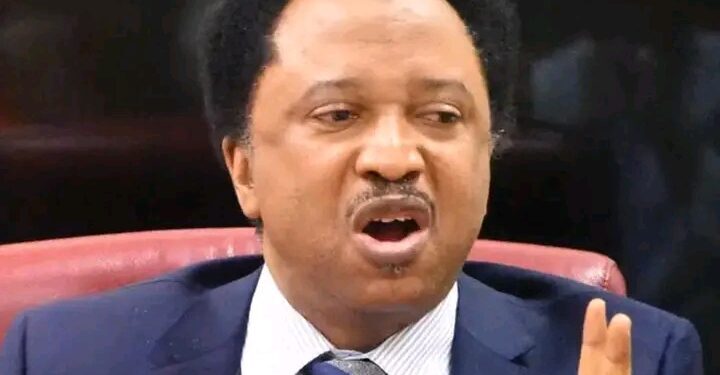 Shehu Sani: They Want Jonathan to Carry PDP’s Coffin, Not Rescue It