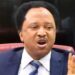Shehu Sani: They Want Jonathan to Carry PDP’s Coffin, Not Rescue It