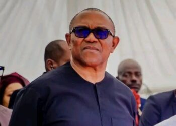 Crime Has No Tribe, Ethnic Profiling Is Dangerous – Peter Obi