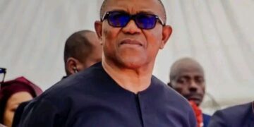 Crime Has No Tribe, Ethnic Profiling Is Dangerous – Peter Obi