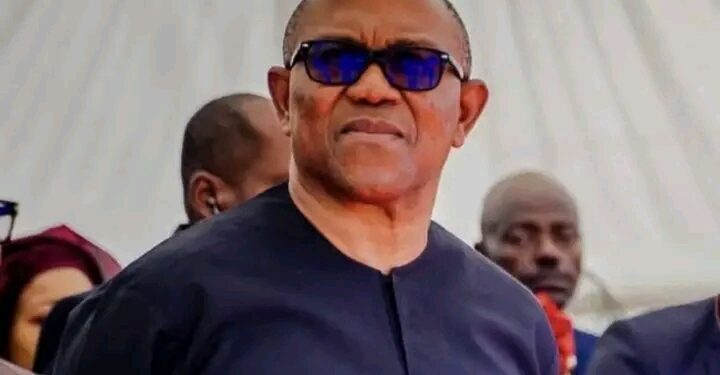 Crime Has No Tribe, Ethnic Profiling Is Dangerous – Peter Obi