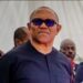 Crime Has No Tribe, Ethnic Profiling Is Dangerous – Peter Obi