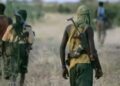 Terrorists kill seven soldiers in Kaduna ambush