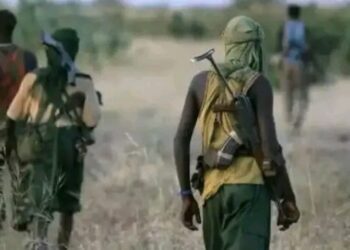 Terrorists kill seven soldiers in Kaduna ambush