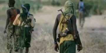 Terrorists kill seven soldiers in Kaduna ambush