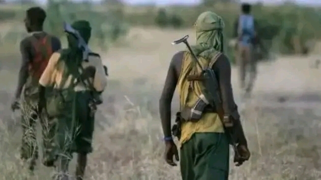 Terrorists kill seven soldiers in Kaduna ambush