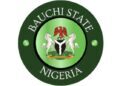 No incumbent can impose successor in Bauchi, says PDP governorship aspirant