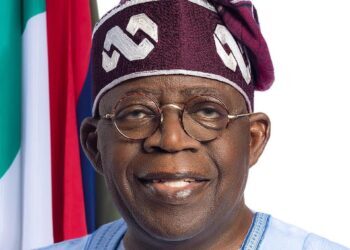 Ijaw, Urhobo Groups Accuse Tinubu of ‘Attack on Democracy’ Over Warri Delineation