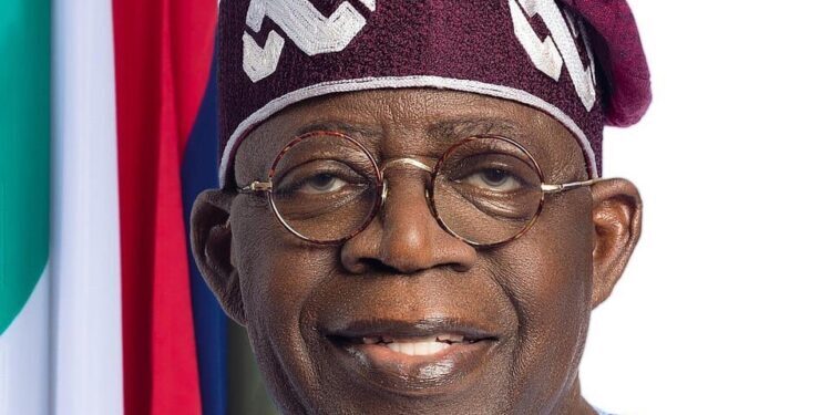 Ijaw, Urhobo Groups Accuse Tinubu of ‘Attack on Democracy’ Over Warri Delineation