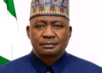 Why Terrorism Persists in Nigeria – Defence Minister