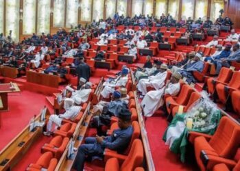 Senate extends 2025 budget implementation to September 30