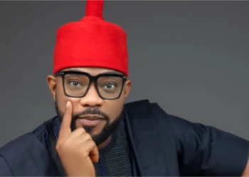 Anarchy threat as Ugochinyere rejects court order deregistering five political parties