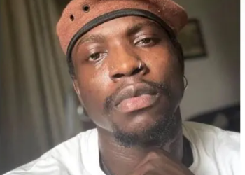 Court Orders Probe of VeryDarkMan Over Coup Plot Leak