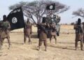 ISWAP admits defeat as foreign fighter routes collapse