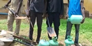 Police Crackdown: 7 Arrested, 285 Vandalised NNPC Pipelines Recovered in Adamawa