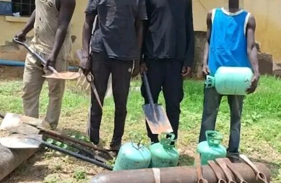 Police Crackdown: 7 Arrested, 285 Vandalised NNPC Pipelines Recovered in Adamawa