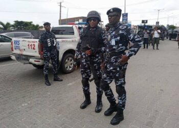 Adamawa Police Nab 10 Over Murder, Theft, Pipeline Vandalism