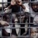 Anambra Unveils Landmark Plea Bargain Policy, Excludes Violent Offences