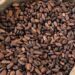 Tinubu Unveils Plan to Break Africa’s Raw Cocoa Cycle