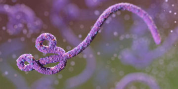 Ebola Outbreak Hits Record High with 1,400 Cases – WHO