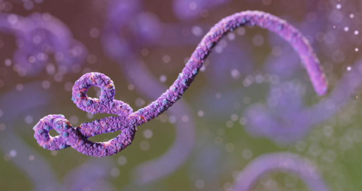 Ebola Outbreak Hits Record High with 1,400 Cases – WHO