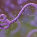 Ebola Outbreak Hits Record High with 1,400 Cases – WHO