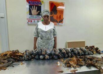 NDLEA arrests UK-based grandma with Cocaine hidden in plantain peels