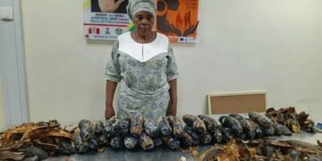 NDLEA arrests UK-based grandma with Cocaine hidden in plantain peels