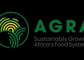Kaduna Shows What Happens When Government Actually Shows Up For Farmers