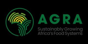 Kaduna Shows What Happens When Government Actually Shows Up For Farmers