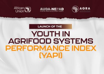 Beyond counting jobs: Why Africa needs a new metric for youth in agrifood systems