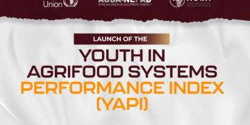 Beyond counting jobs: Why Africa needs a new metric for youth in agrifood systems
