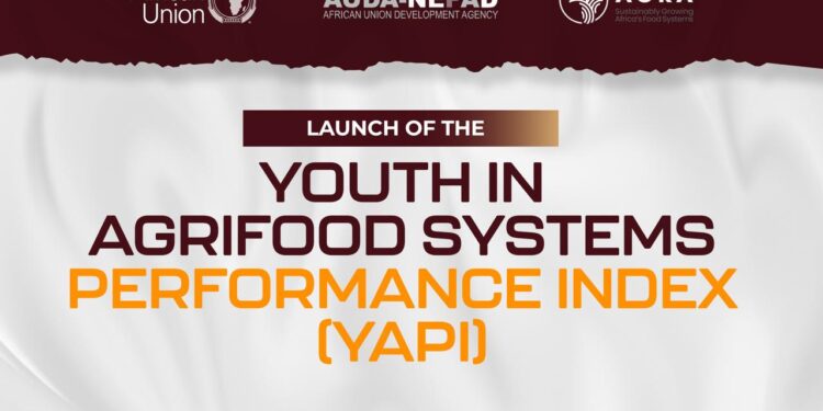 Beyond counting jobs: Why Africa needs a new metric for youth in agrifood systems