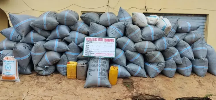 NDLEA Strikes: 1,359kg Cannabis Seized, Two Arrested in Edo Raid