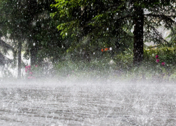 Over 200 Homes Destroyed as Rainstorm Ravages Katsina Communit