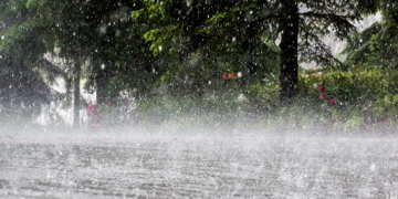 Over 200 Homes Destroyed as Rainstorm Ravages Katsina Communit
