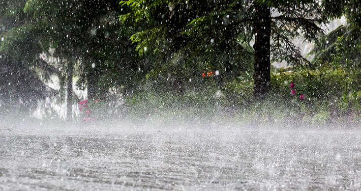 Over 200 Homes Destroyed as Rainstorm Ravages Katsina Communit