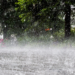 Over 200 Homes Destroyed as Rainstorm Ravages Katsina Communit