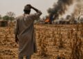 Harvest of Fear: How Insecurity Is Threatening Nigeria’s Food Supply