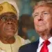 Trump Did Not Praise Tinubu’s Anti-Terror Fight – APM