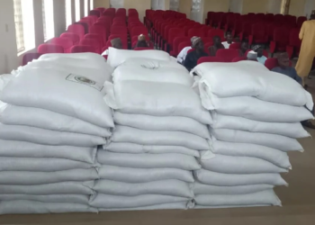 Katsina, COPMAN Roll Out Subsidised Cotton Seeds for 1,000 Farmers
