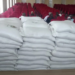 Katsina, COPMAN Roll Out Subsidised Cotton Seeds for 1,000 Farmers