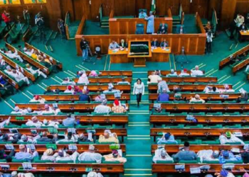Reps Summon Foreign Affairs Minister, NSA Over Fake PFIPC Scandal