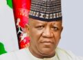 Tinubu 2027: North-East group threatens to withdraw support