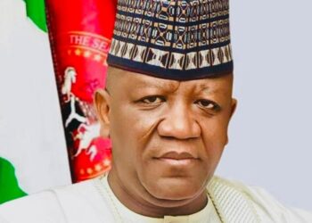 Tinubu 2027: North-East group threatens to withdraw support