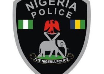 Don’t Rush State Police, Sharia Council Warns Tinubu, NASS