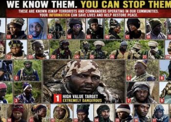 Army declares 38 ISWAP leaders wanted, offers financial reward for top commander