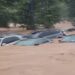 Drainage Neglect, Blocked Manholes Spark Abuja Flood Crisis – FG