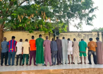 NDLEA Dismantles Six Drug Dens, Arrests 15 in Kano Raids