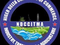 NDCCITMA Raises Alarm Over Plot to Sabotage Niger Delta Investment Summit
